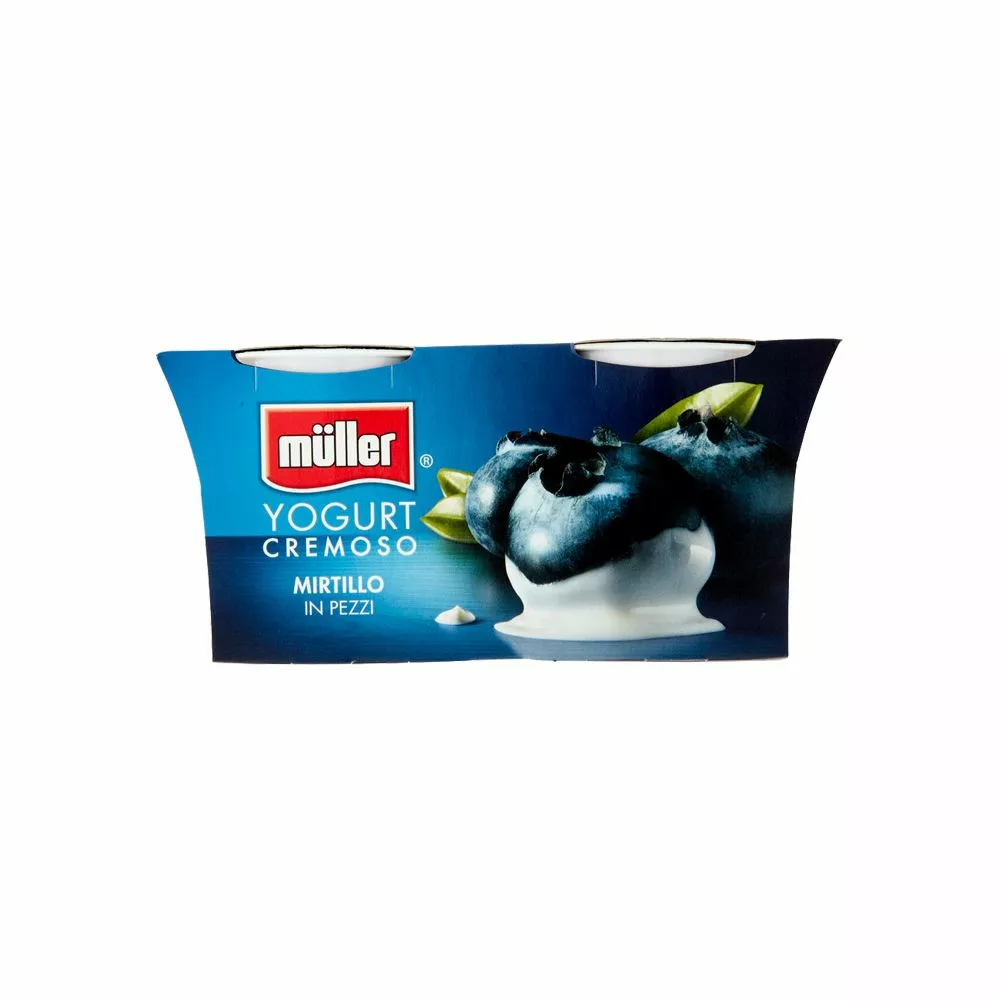 Mueller Müller Crema Di Yogurt Mirtillo Gr. 125 X2 3 Mueller Müller Crema Di Yogurt Mirtillo Gr. 125 X2