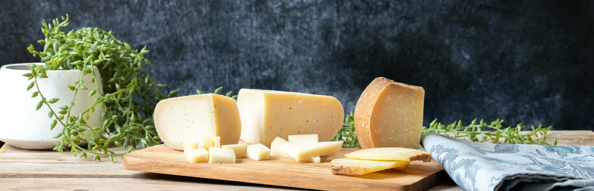 Negozio Vini economico -Negozio Vini economico foto banner formaggi